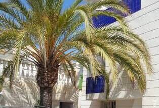 Amplio chalet en venta La Nucia