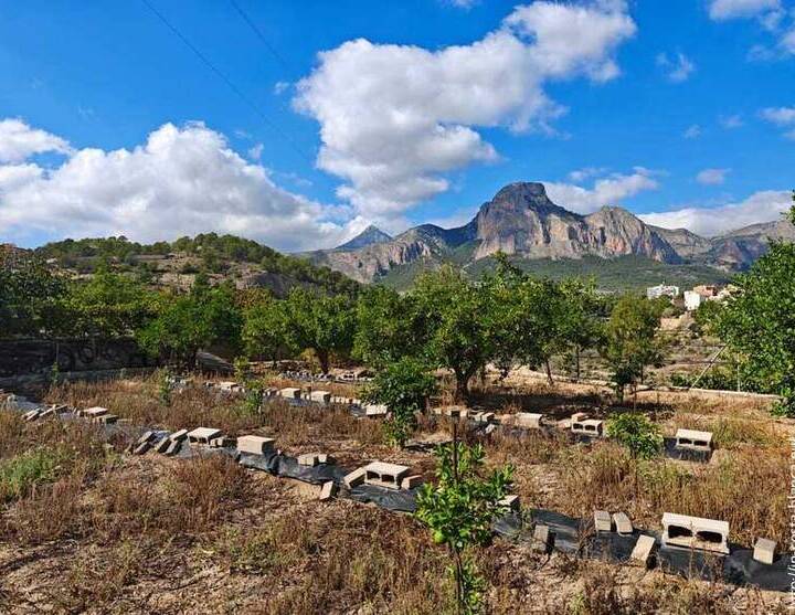 solar en venta en la nucía – 2.700 m² | costa blanca