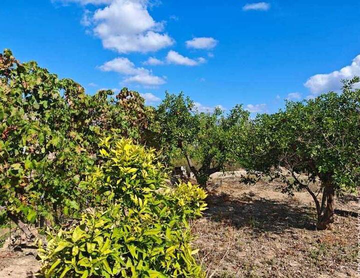 solar en venta en la nucía – 2.700 m² | costa blanca