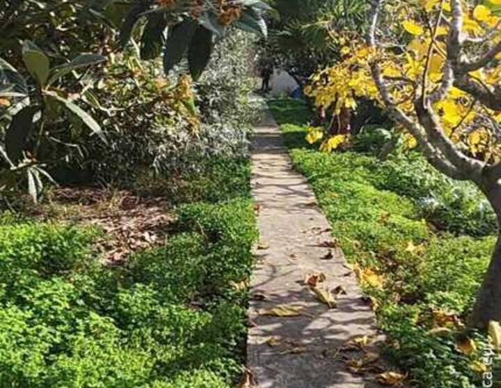 Rural house with plot near Altea