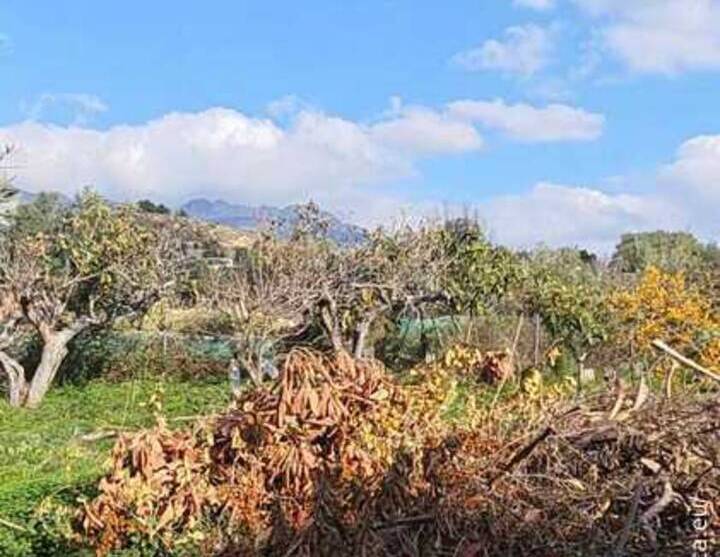 Rural house with plot near Altea