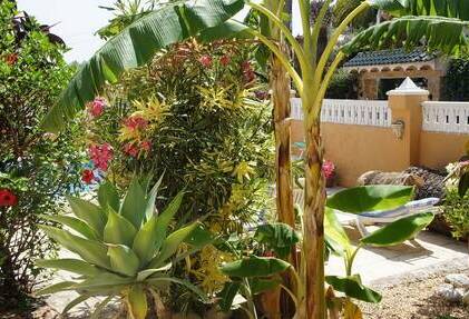 Mediterranean villa in Altea